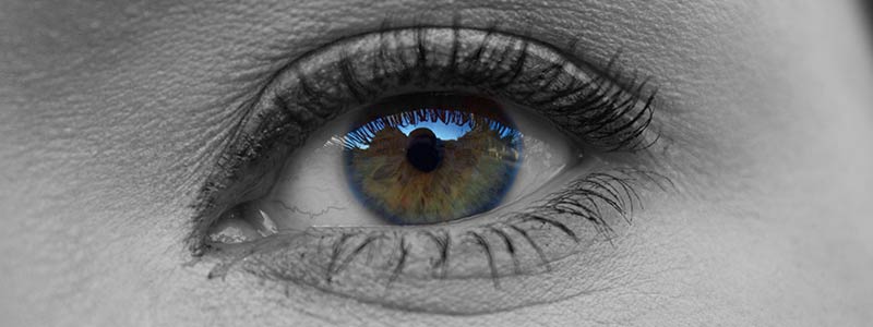 eye-see-you