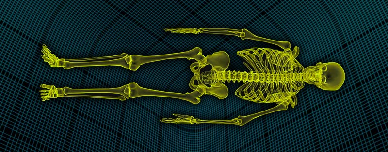 post-headers_spine_scren_skeleton