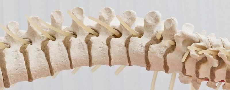Blog- How Does Chiropractic Work