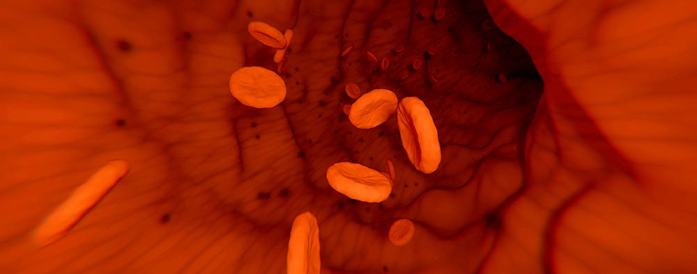 post-headers_platelets