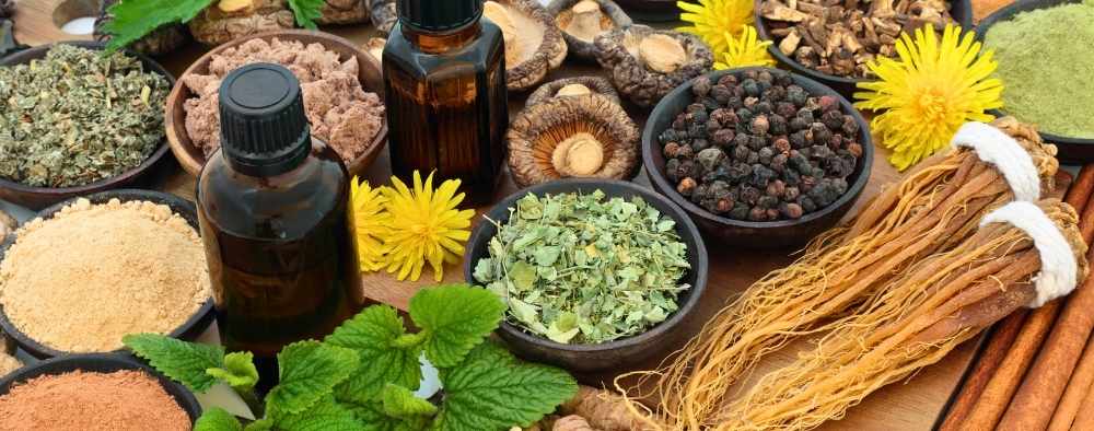 Blog-Adaptogens-and-Nootropics