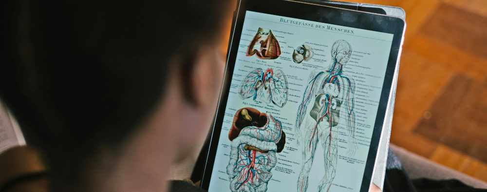 blog-nervous-system